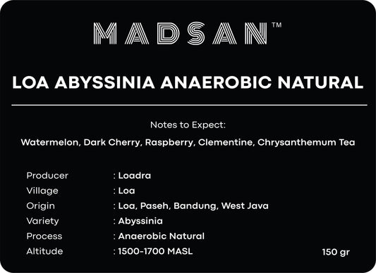 Loa Abyssinia Anaerobic Natural